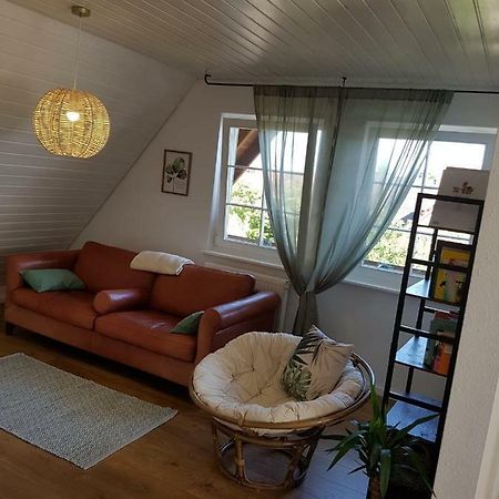 Schoene, Helle Fewo Fuer 4 Personen Appartement Ettenheim Buitenkant foto